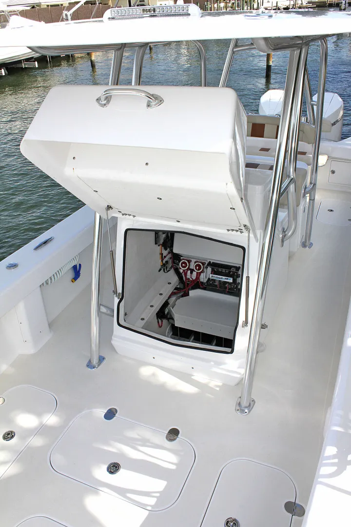 Slide: The Image of Birdsall Birdsall 30 2026 - 1399892