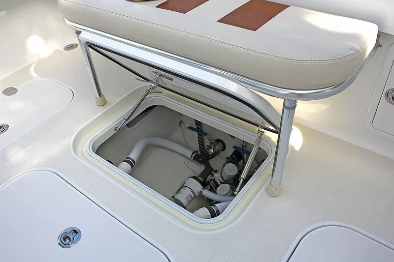 Slide: The Image of Birdsall Birdsall 30 2026 - 1399887