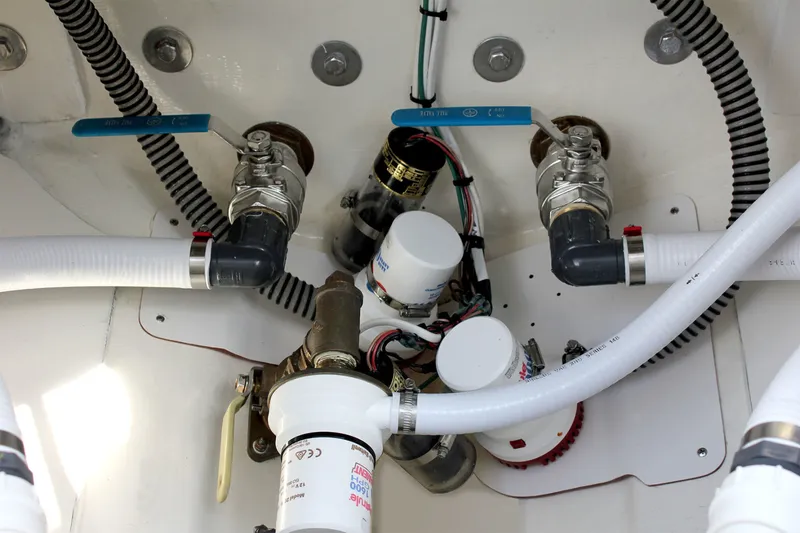 Slide: The Image of Birdsall Birdsall 30 2026 - 1399890