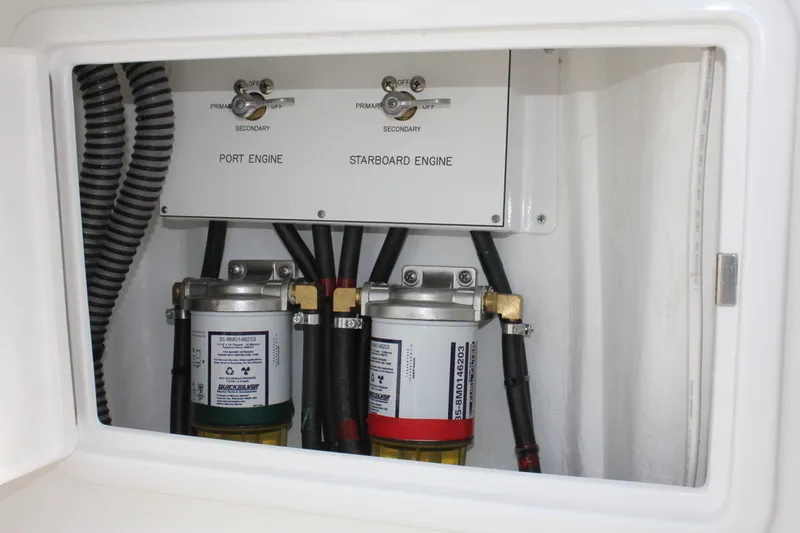 Slide: The Image of Birdsall Birdsall 30 2026 - 1399915