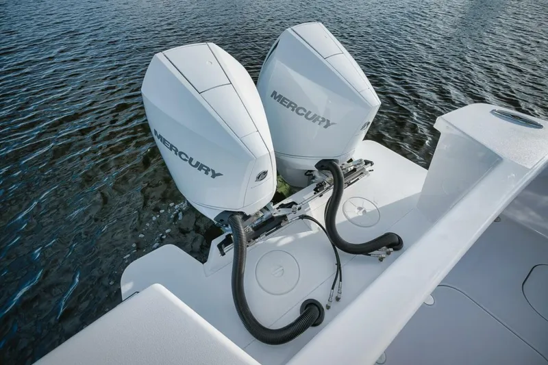 Slide: The Image of Birdsall Birdsall 30 2026 - 4039609