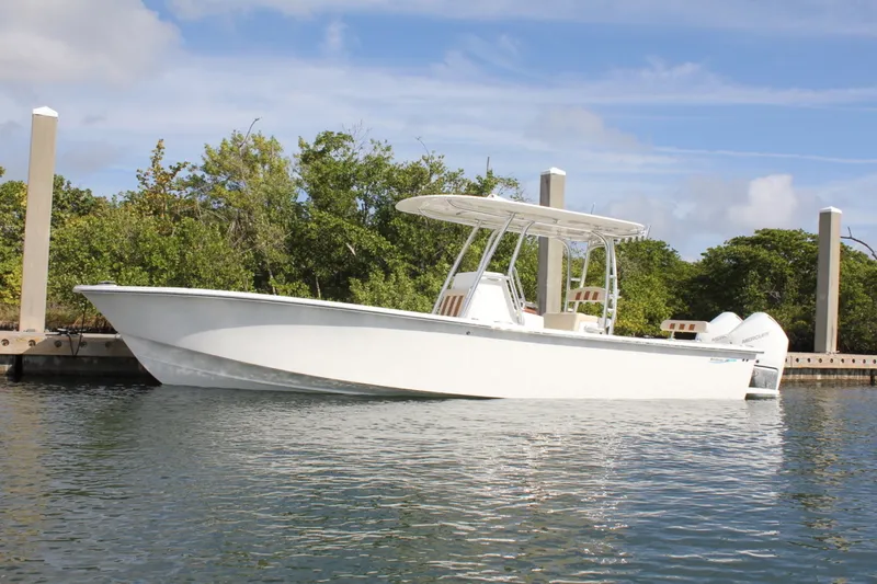 Slide: The Image of Birdsall Birdsall 30 2026 - 1399901