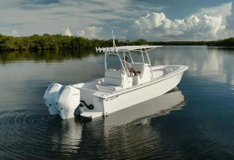 Slide: The Image of Birdsall Birdsall 30 2026 - 4039636