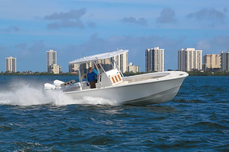 Slide: The Image of Birdsall Birdsall 30 2026 - 1399885