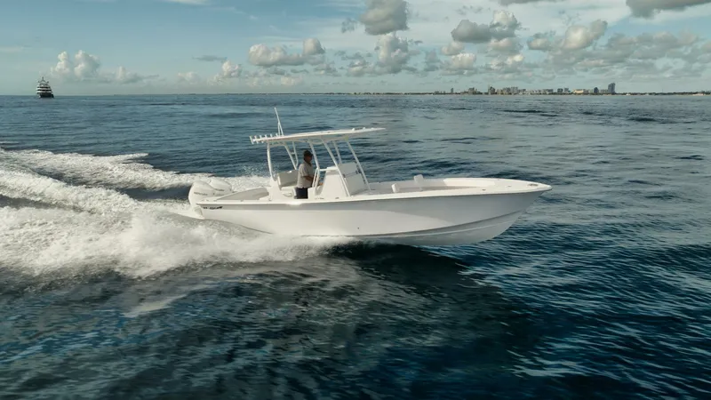 Slide: The Image of Birdsall Birdsall 30 2026 - 4936346