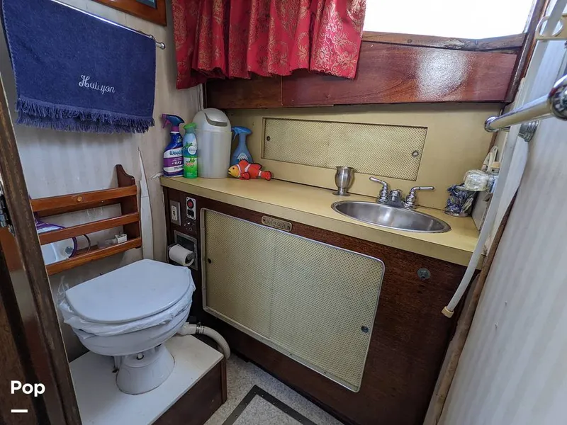 Slide: The Image of Head - 10425115