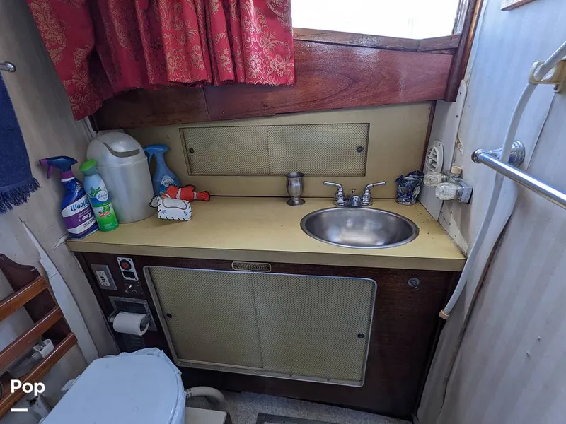 Slide: The Image of Vanity - 10425120