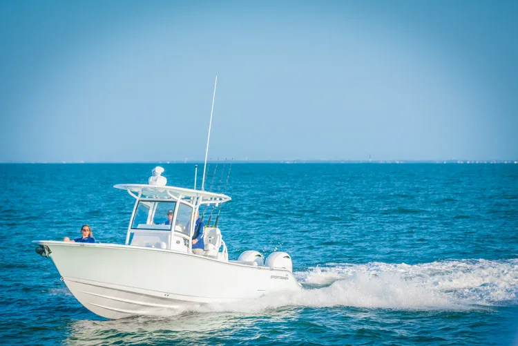 The Image of Sportsman Open 282 CC - 1