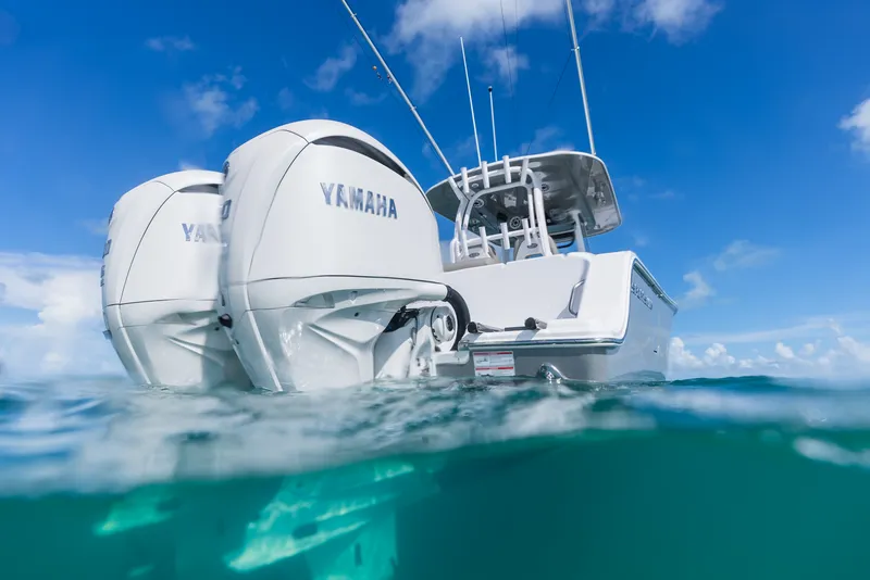 Slide: The Image of Sportsman 282 Open - 16