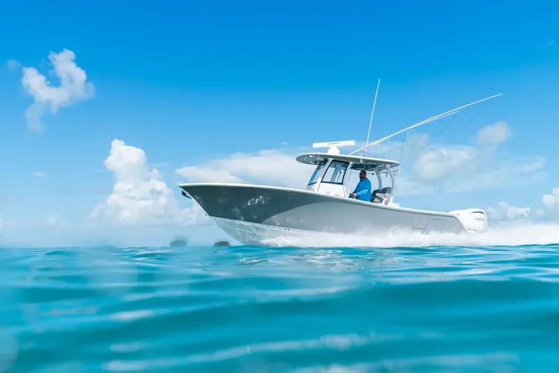 Slide: The Image of Sportsman 282 Open - 29