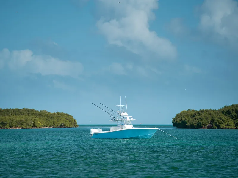 Slide: The Image of Invincible 39 Open Fisherman - 2
