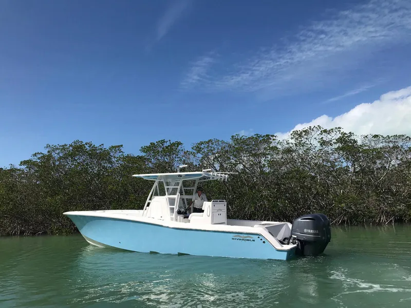 Slide: The Image of Invincible 33 Open Fisherman - 2