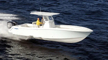 Slide: The Image of Invincible 33 Open Fisherman - 1