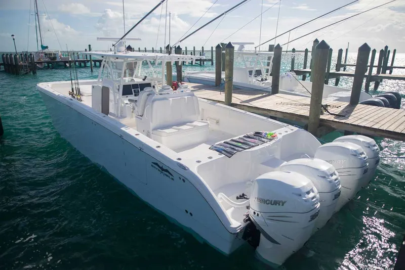 Slide: The Image of Invincible 40 Catamaran - 1