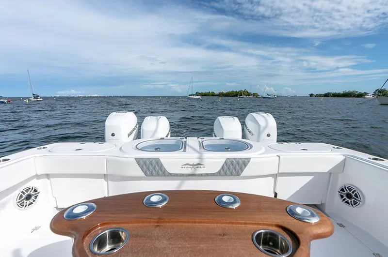 Slide: The Image of Invincible 46 Catamaran - 8