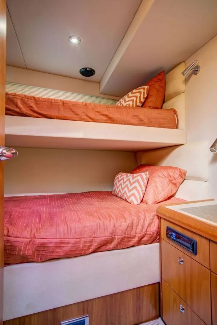 Slide: The Image of Sunseeker Predator 2010 - 1501294