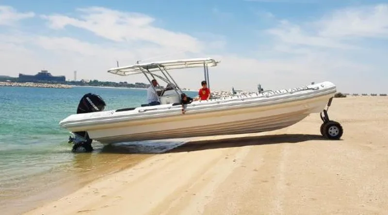 The Image of Ocean Craft Marine Transport and Tour 9.5M 2022 - 1523388