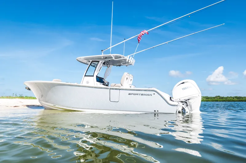 The Image of Sportsman 262 Open CC - 0