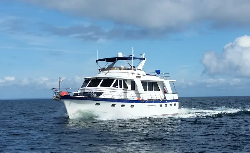 The Image of DeFever 53 POC 1988 - 1574758