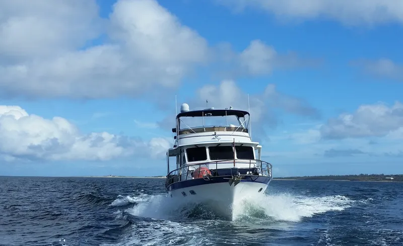 Slide: The Image of DeFever 53 POC 1988 - 1574761