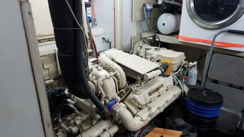 Slide: The Image of DeFever 53 POC 1988 - 1574791