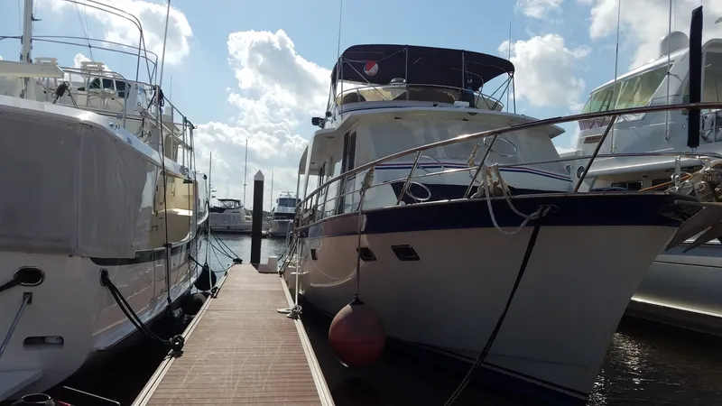 Slide: The Image of DeFever 53 POC 1988 - 1574798