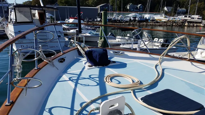 Slide: The Image of DeFever 53 POC 1988 - 1574767