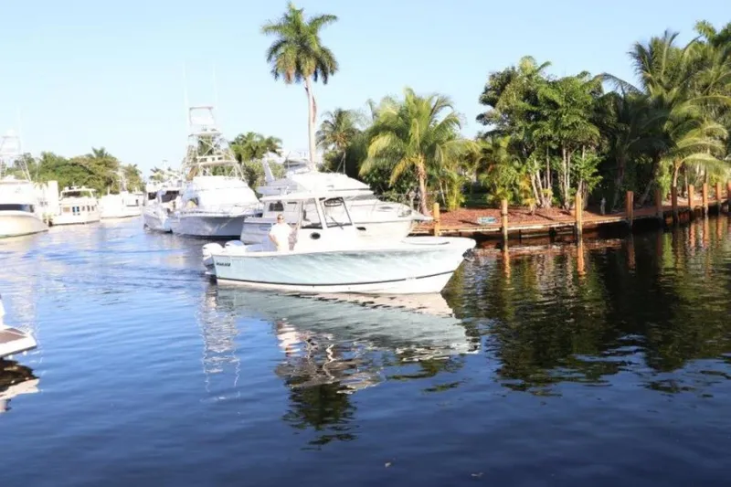 Slide: The Image of Regulator Marine 31 2020 - 1586233