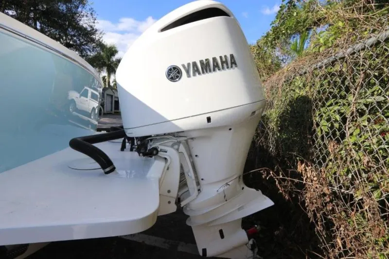 Slide: The Image of Regulator Marine 31 2020 - 1586267