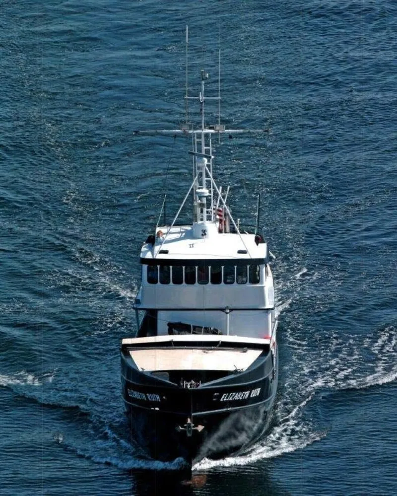 Slide: The Image of Custom Robinson Modified Monk 1991 - 1618941