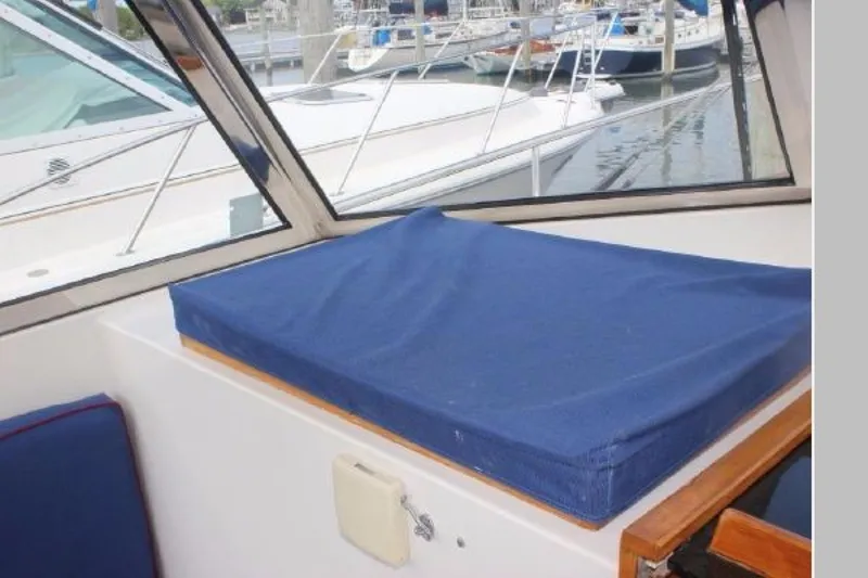 Slide: The Image of Bruckmann Bluestar 2000 - 1670147