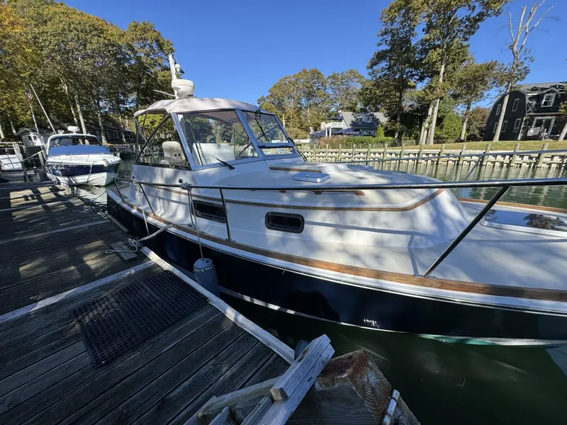 Slide: The Image of Bruckmann Bluestar 2000 - 5767405