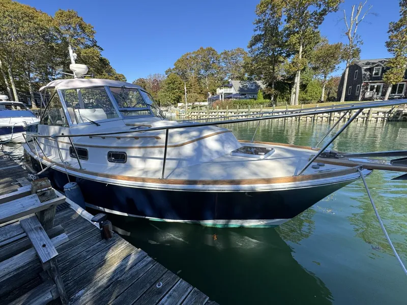 Slide: The Image of Bruckmann Bluestar 2000 - 5767404