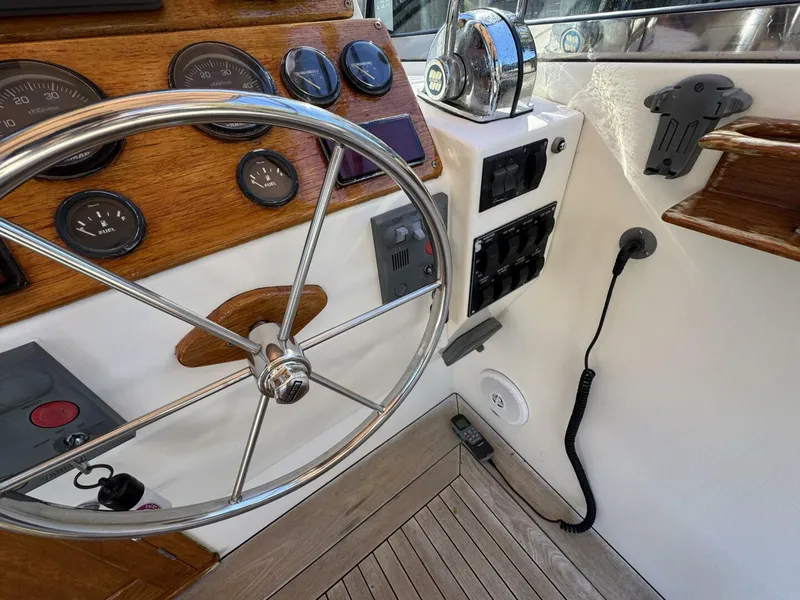 Slide: The Image of Bruckmann Bluestar 2000 - 5767413