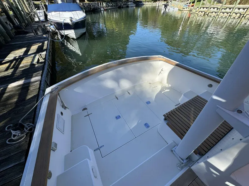 Slide: The Image of Bruckmann Bluestar 2000 - 5767419