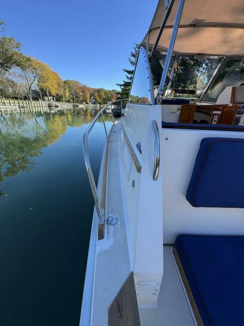 Slide: The Image of Bruckmann Bluestar 2000 - 5767451