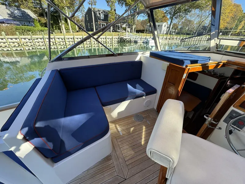 Slide: The Image of Bruckmann Bluestar 2000 - 5767447