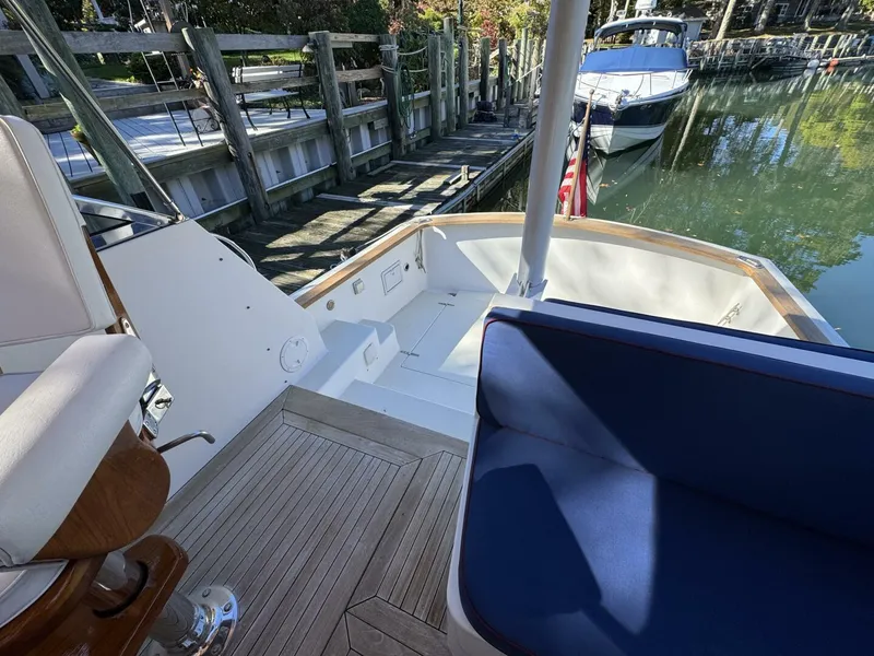 Slide: The Image of Bruckmann Bluestar 2000 - 5767453