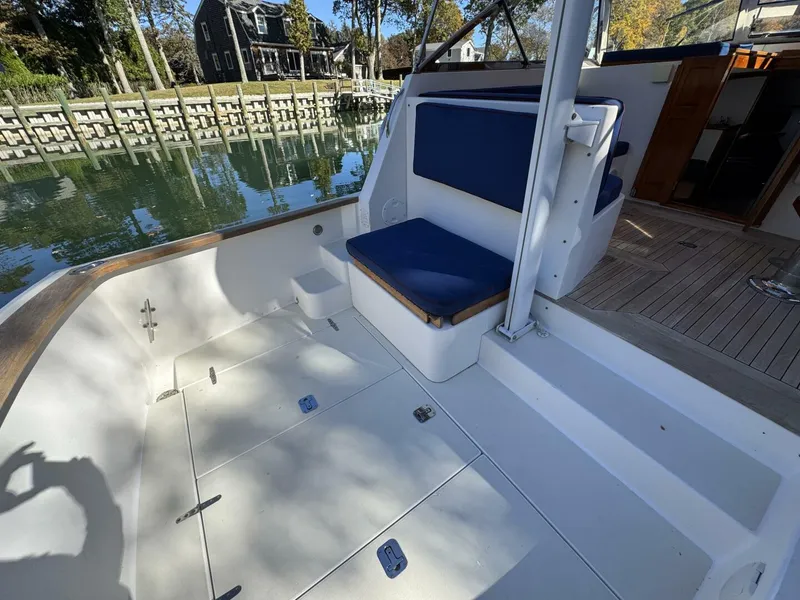 Slide: The Image of Bruckmann Bluestar 2000 - 5767450