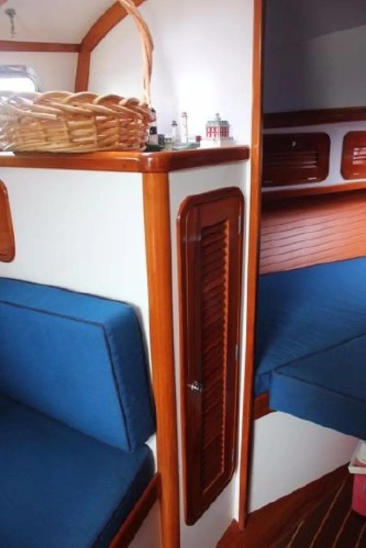 Slide: The Image of Bruckmann Bluestar 2000 - 1670175