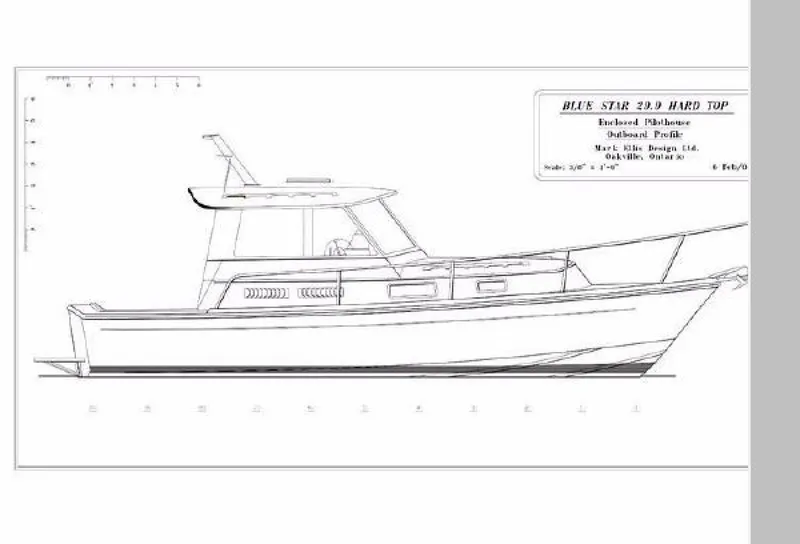 Slide: The Image of Bruckmann Bluestar 2000 - 1670181