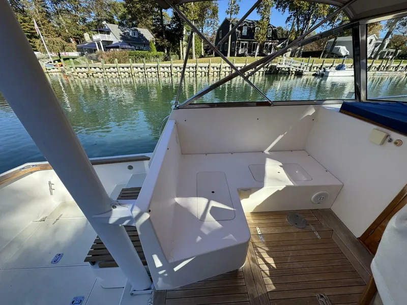 Slide: The Image of Bruckmann Bluestar 2000 - 5767417