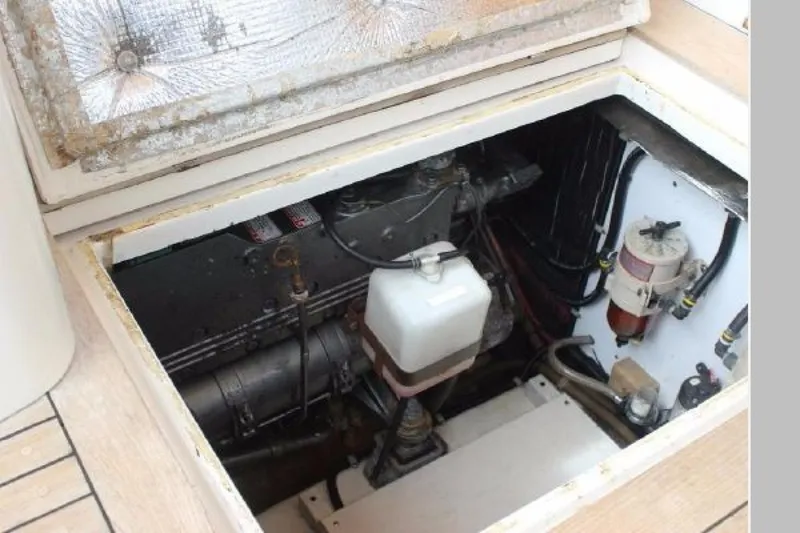 Slide: The Image of Bruckmann Bluestar 2000 - 1670179