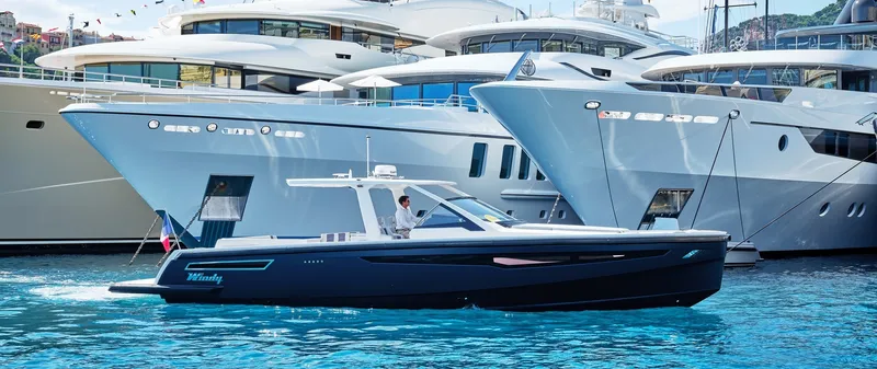 Slide: The Image of Windy SR44 2023 - 1931232