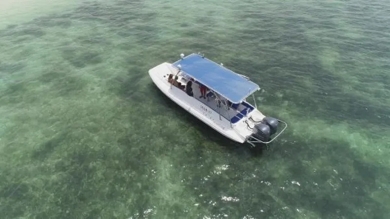 Slide: The Image of Ocean Craft Marine Beachlander 8.75 2022 - 1802688