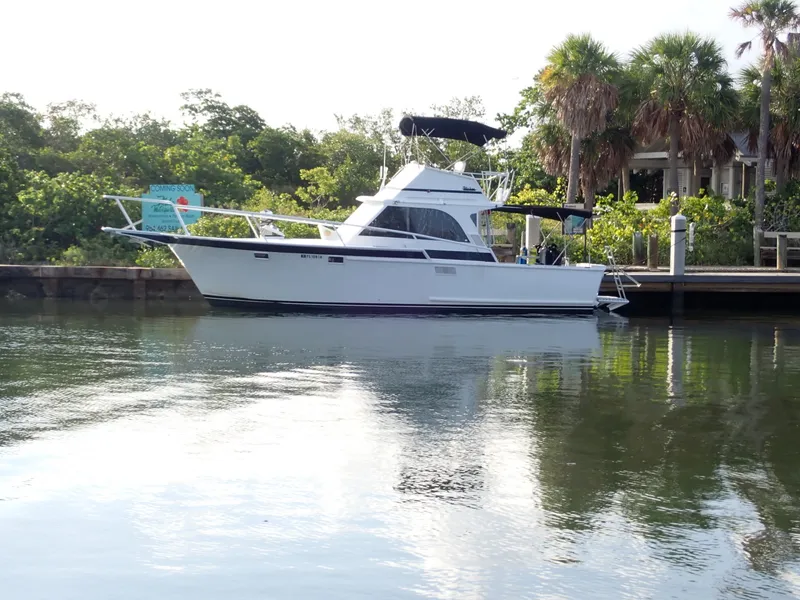 The Image of Striker 37 1969 - 2783546