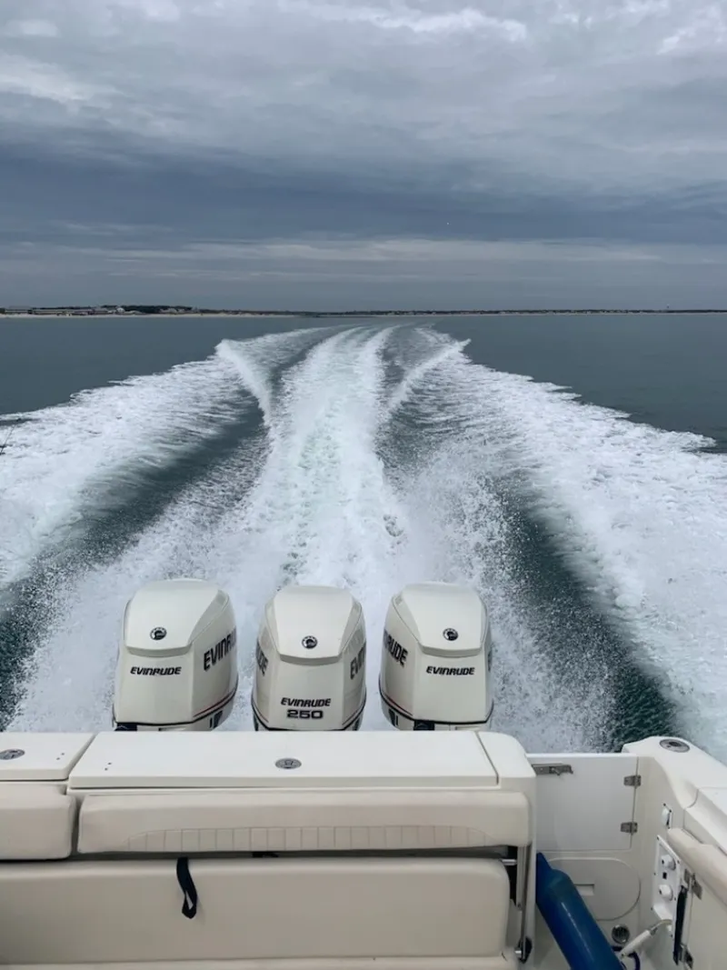 Slide: The Image of Hydra-Sports 3300 VX 2007 - 3157234