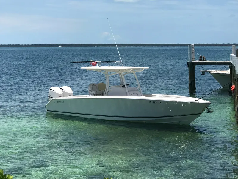 Slide: The Image of Jupiter 30 HFS 2018 - 3236526