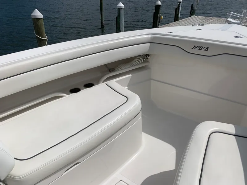 Slide: The Image of Jupiter 30 HFS 2018 - 3236531