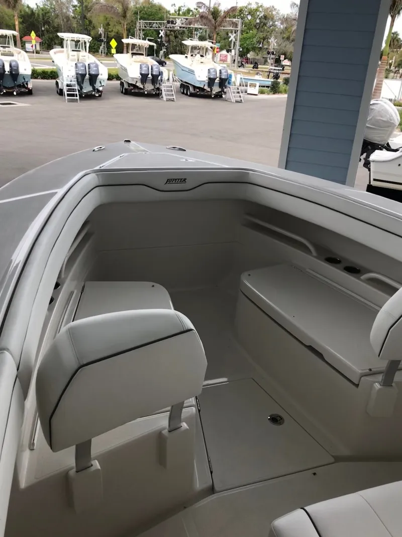 Slide: The Image of Jupiter 30 HFS 2018 - 3242598